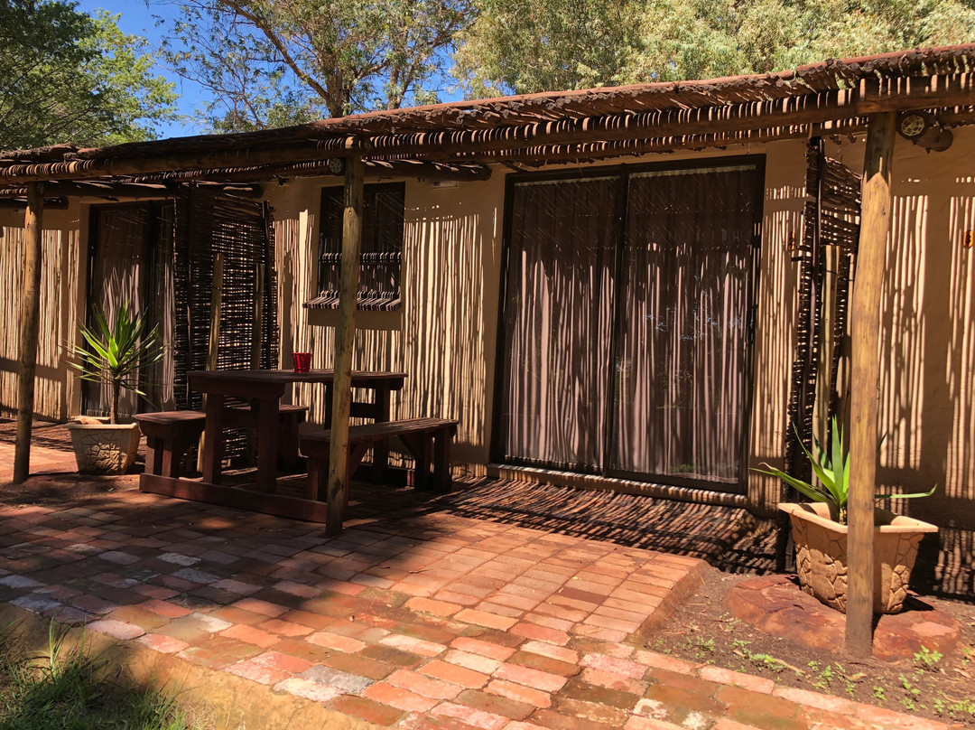 TreeTopia Guesthouse主图