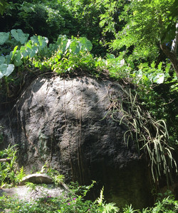 Jardín Botánico de Acapulco景点门票图片