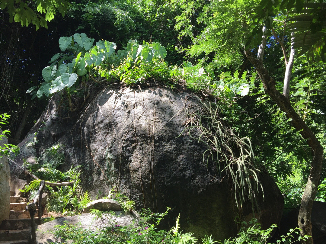 Jardín Botánico de Acapulco景点图片