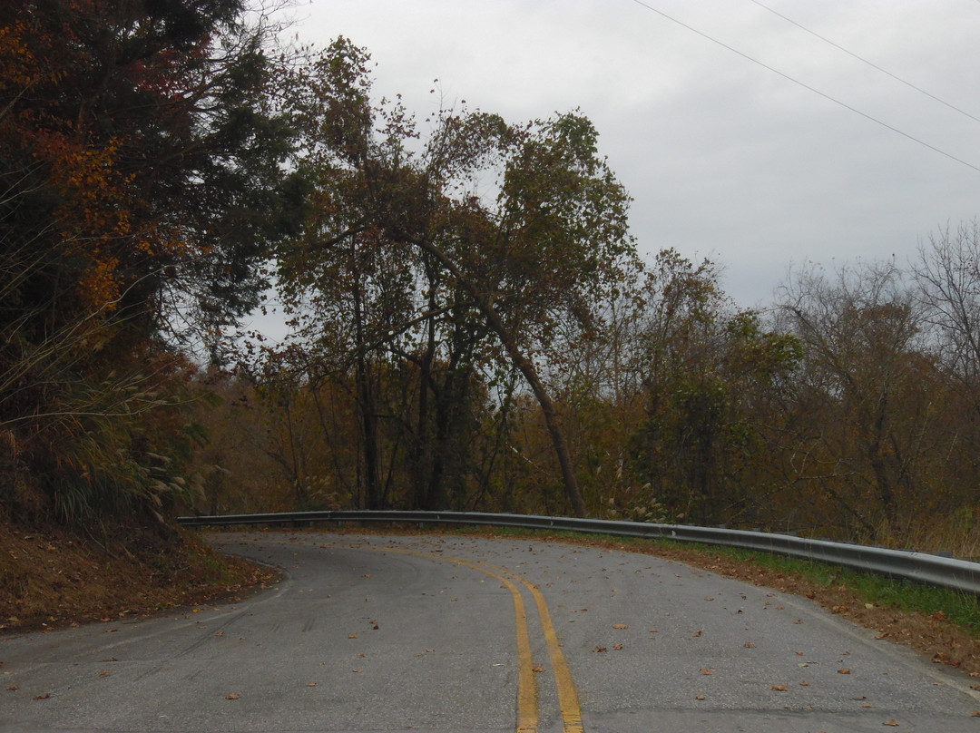 Ferguson旅游攻略图片