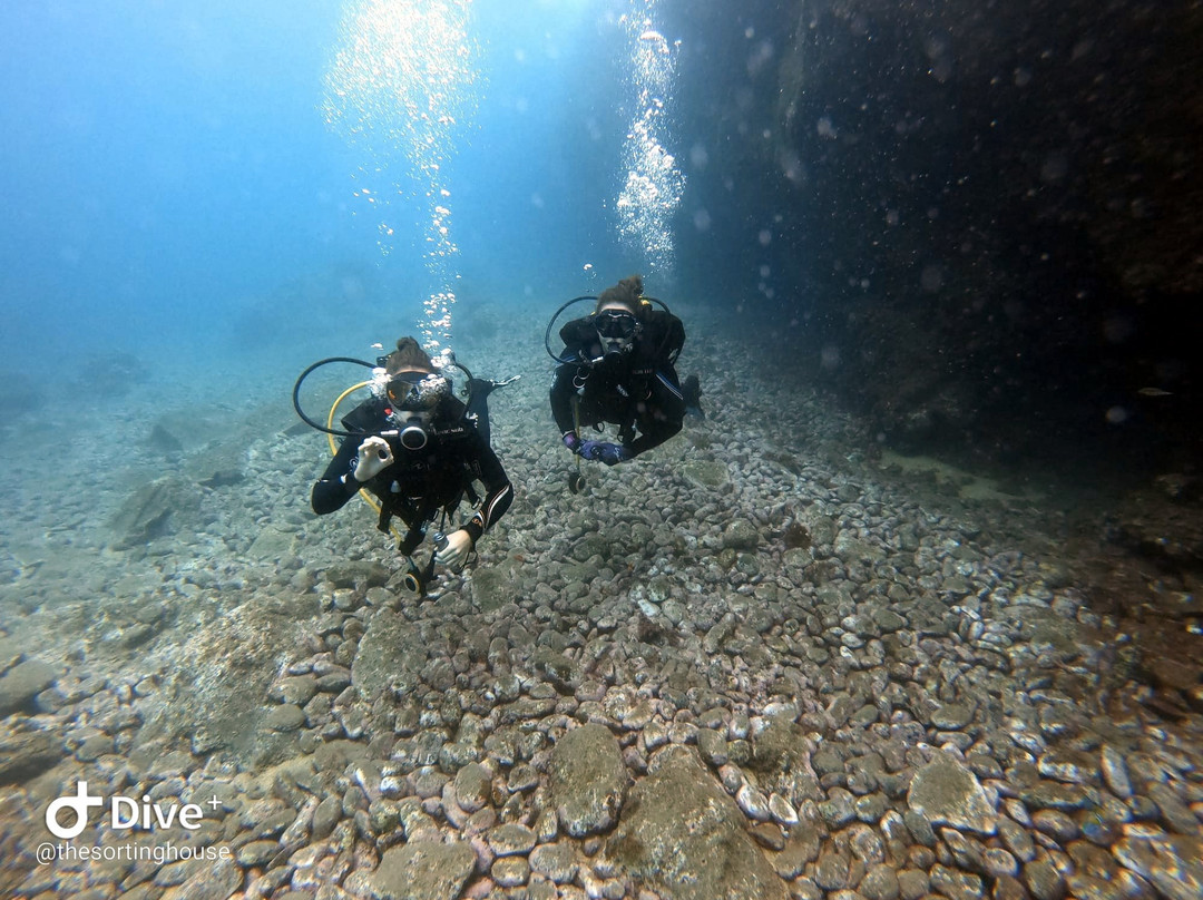 Scorpio Madeira Diving Center-卡尼卡尔必去景点