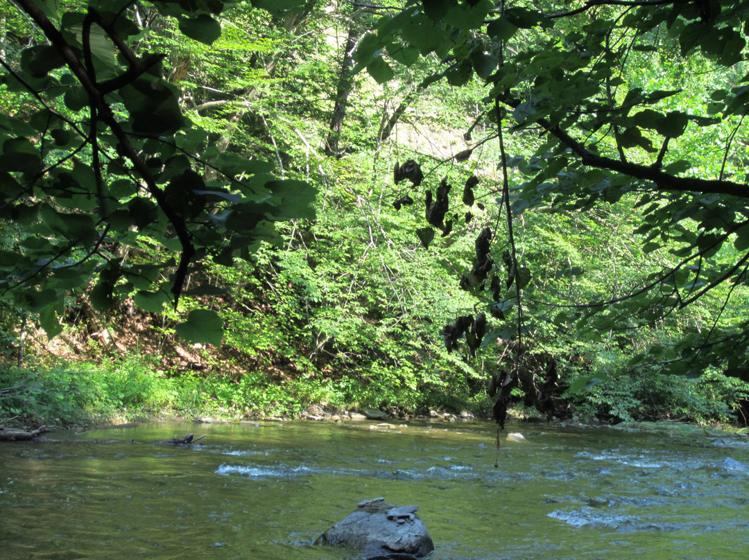 Hannacroix Creek Preserve景点图片