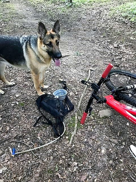 Truman Lake Mountain Bike Park & Hiking Area