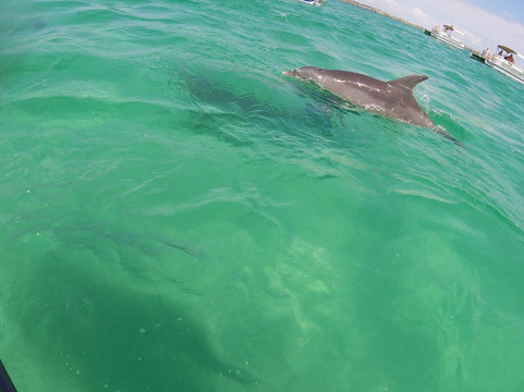 AAA Jet Ski Rental-巴拿马城必去景点