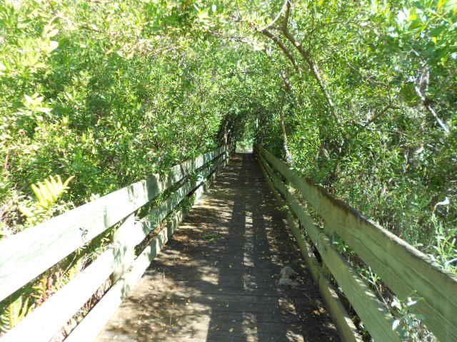 Oslo Riverfront Conservation Area (ORCA)