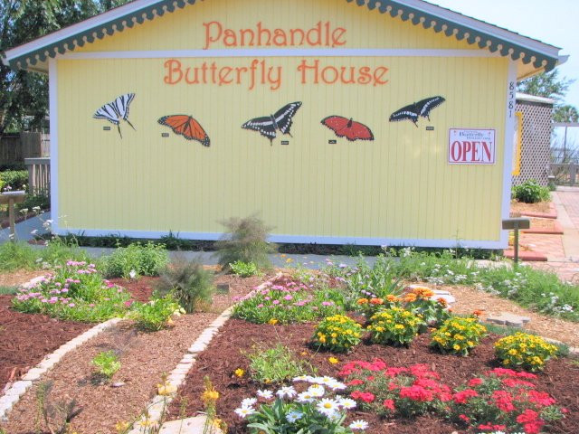 The Panhandle Butterfly House and Nature Center景点图片