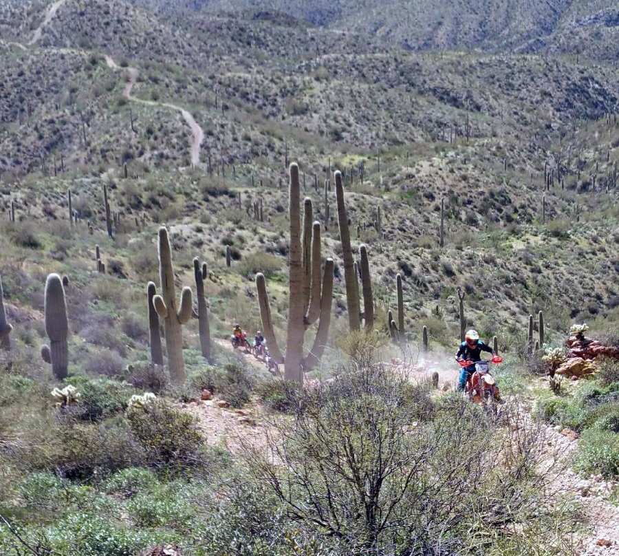 Arizona Dirt Bike Rentals-Wickenburg必去景点