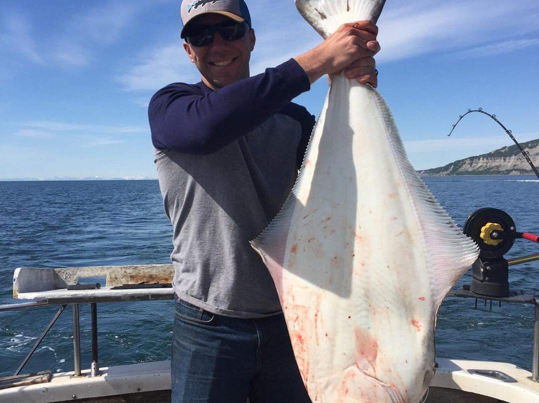 Falcon Charters-荷马必去景点