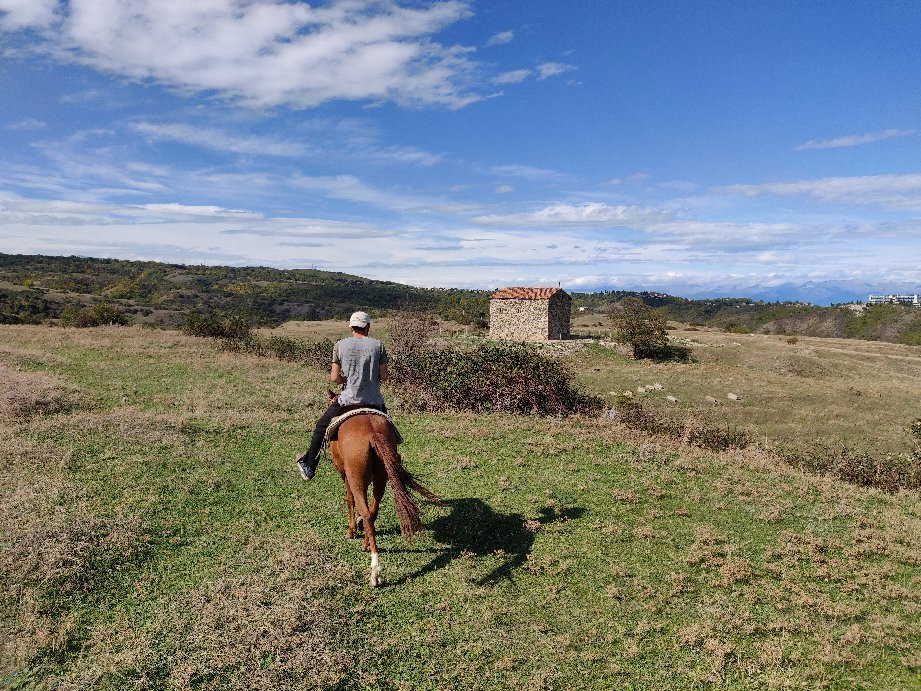 Living Roots Horse Ranch (Lost Ridge Ranch)-西格纳吉必去景点