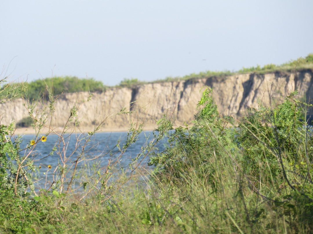 Port Aransas Nature Preserve at Charlie's Pasture