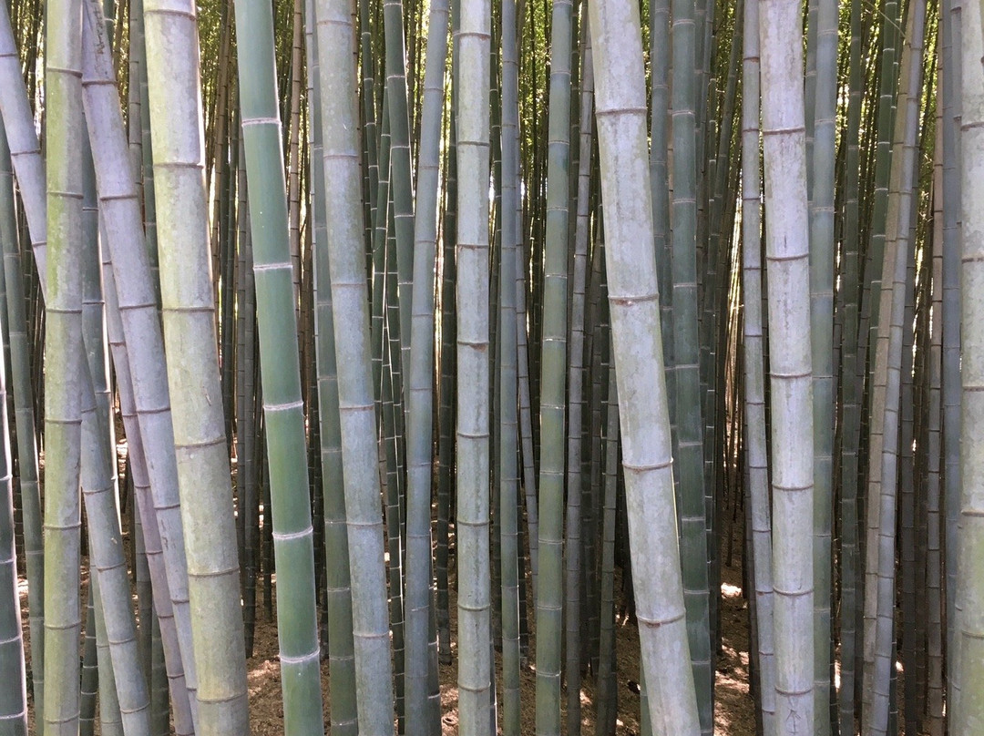 Gochangeupseong Fortress-高敞郡必去景点