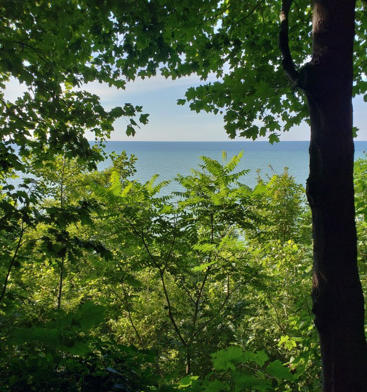 Erie Bluffs State Park景点图片