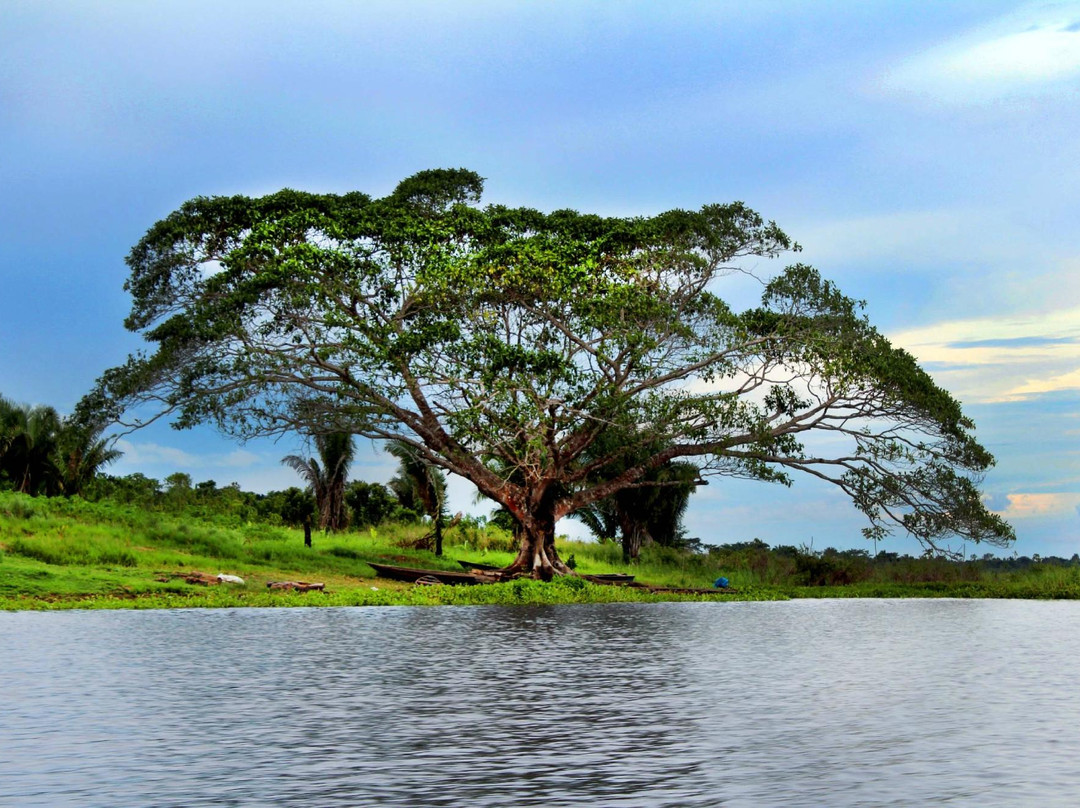 Laguna Cashibococha-Pucallpa必去景点