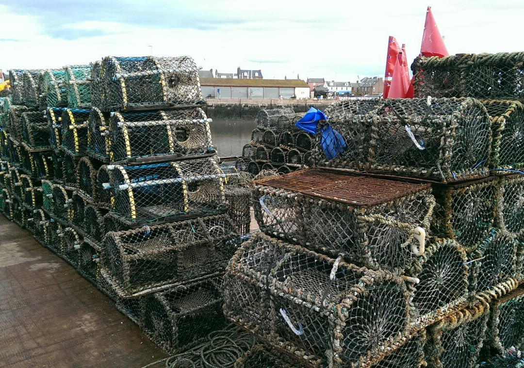 Arbroath Harbour景点图片