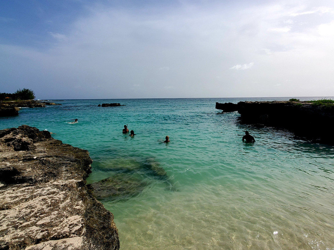 Smith Cove-大开曼岛必去景点