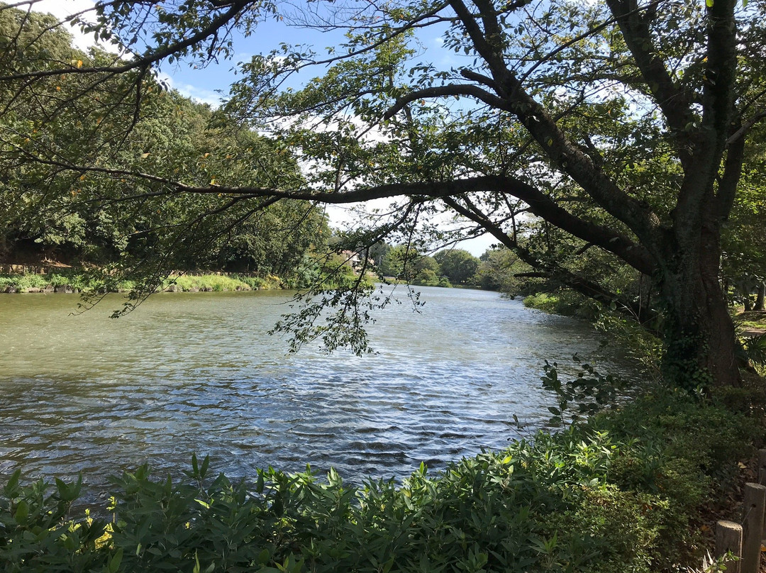 Junsai Pond Area-市川市必去景点