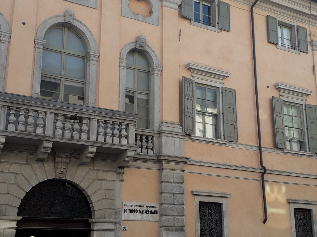 Palazzo Toppo Wassermann-乌迪内必去景点