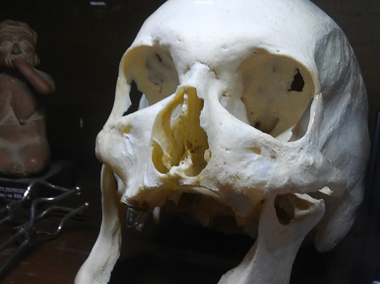 Anatomy Of Death Museum-Mount Clemens必去景点