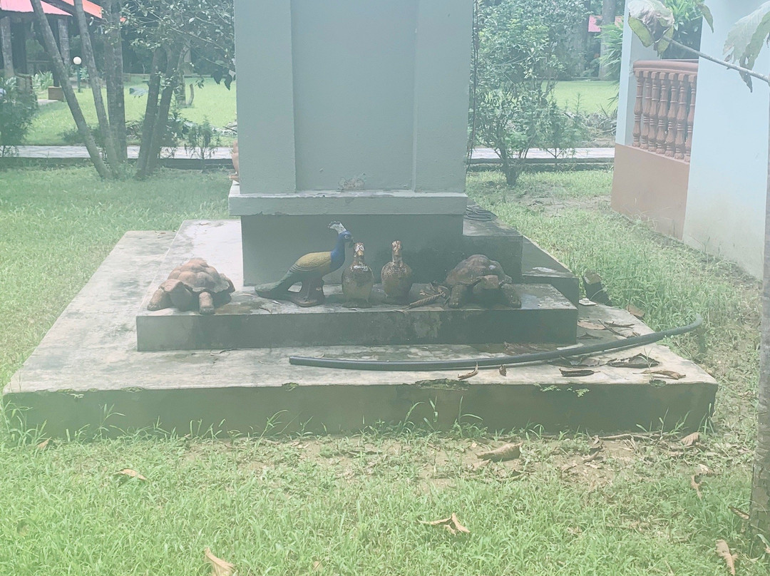 奇特旺天堂酒店主图