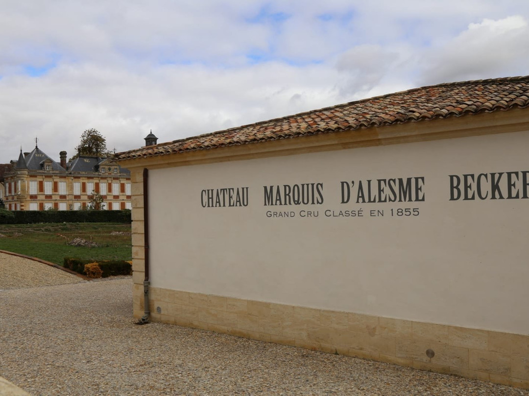 Château Marquis d'Alesme景点图片