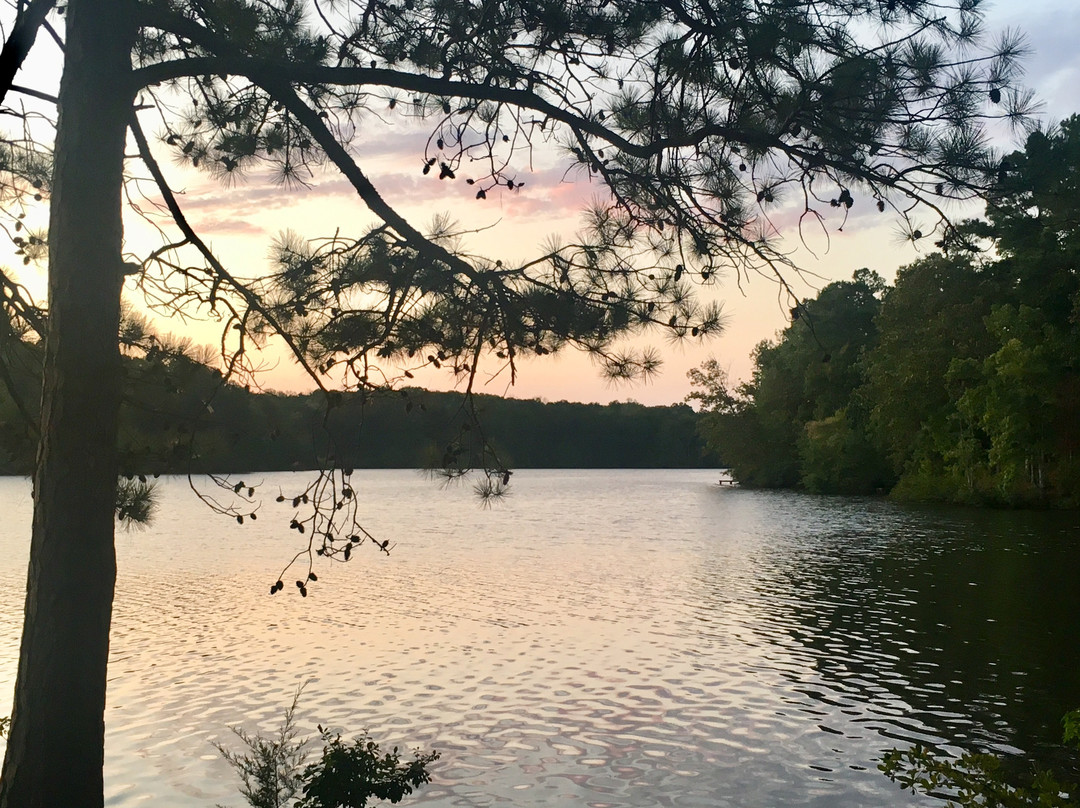 The Lodge at Natchez Trace主图