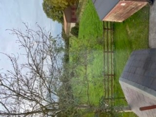 Newlands Country House B&B主图