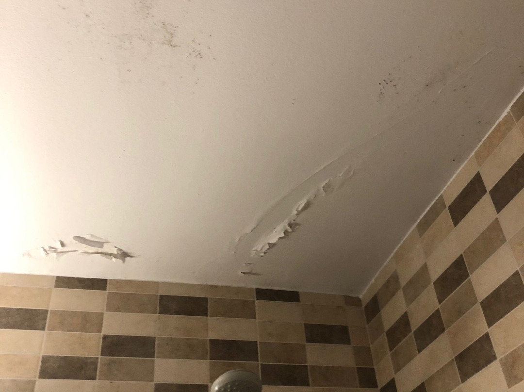 Hostal Los Palacios主图