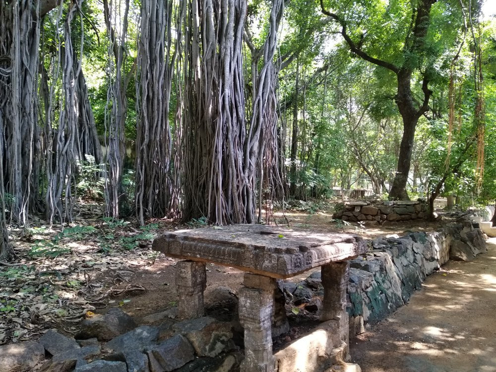 Sri Ramana Ashram景点图片