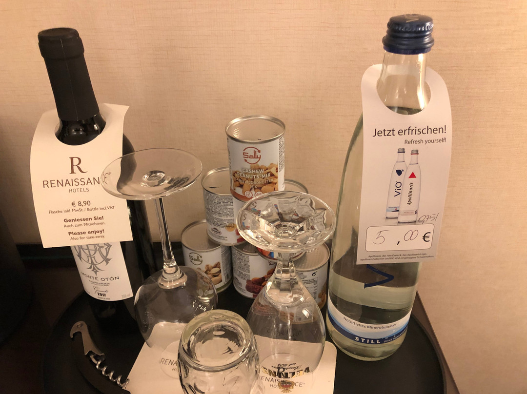 芮纳桑斯布彻姆酒店主图