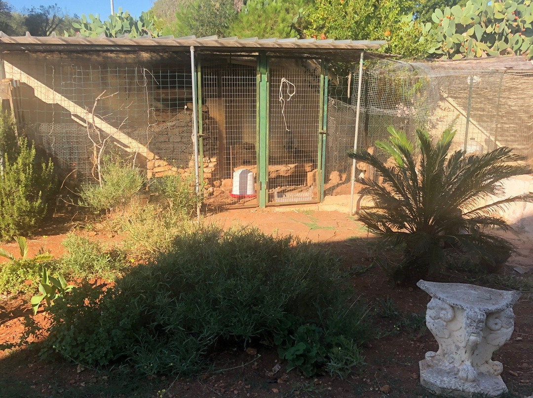 B&B Country House Vereto主图