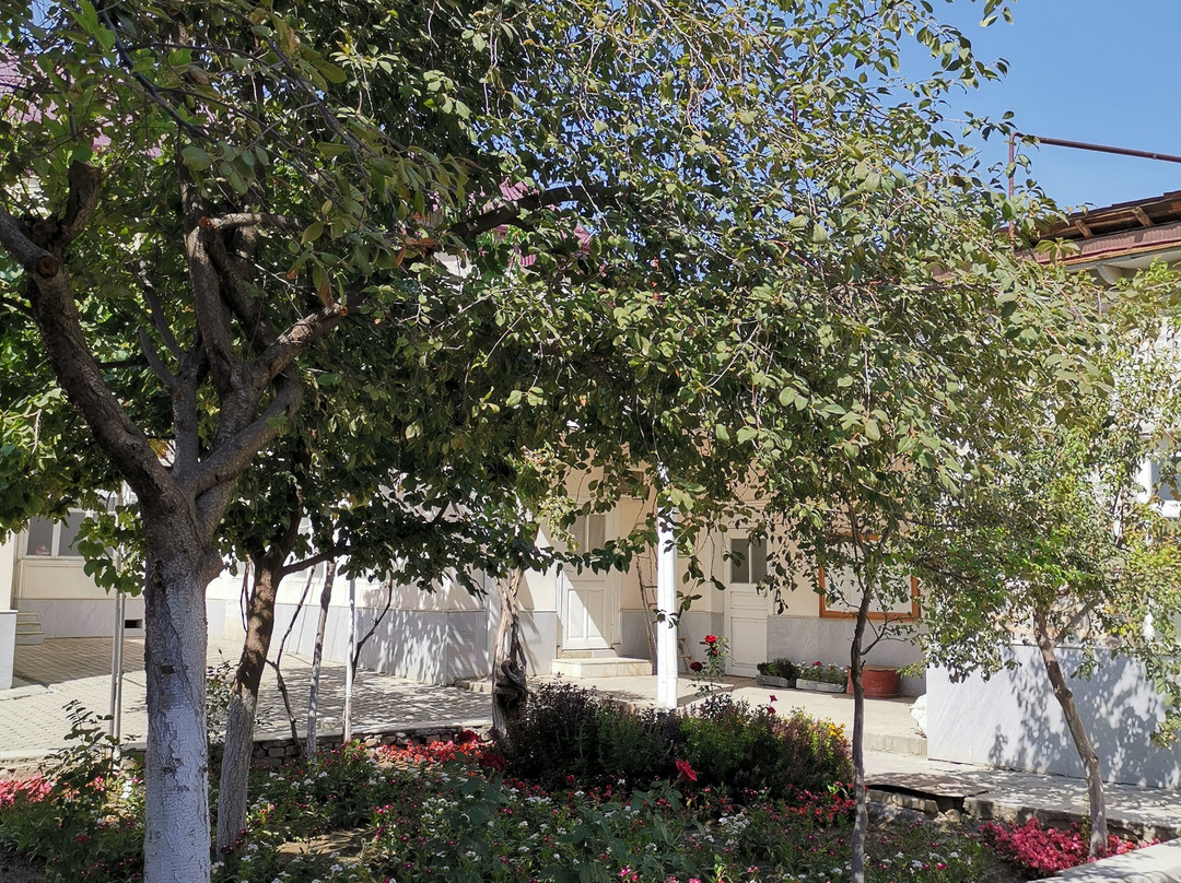 Gumbaz Synagogue景点图片