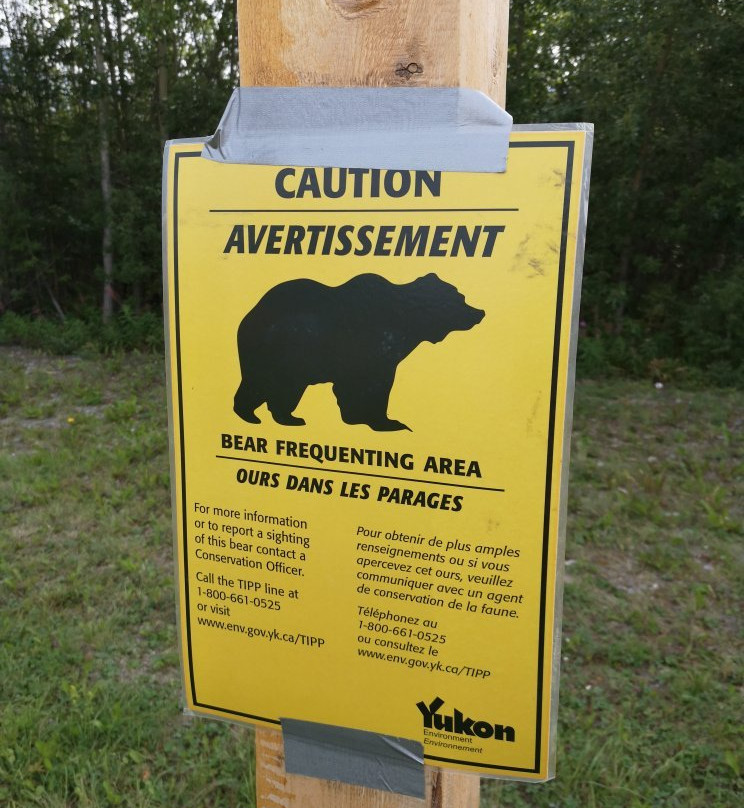 Dezadeash River Trail-海恩斯章克申必去景点