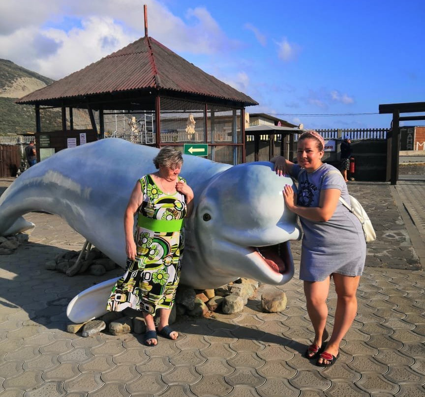 Anapa Dolphinarium-Bolshoy Utrish必去景点