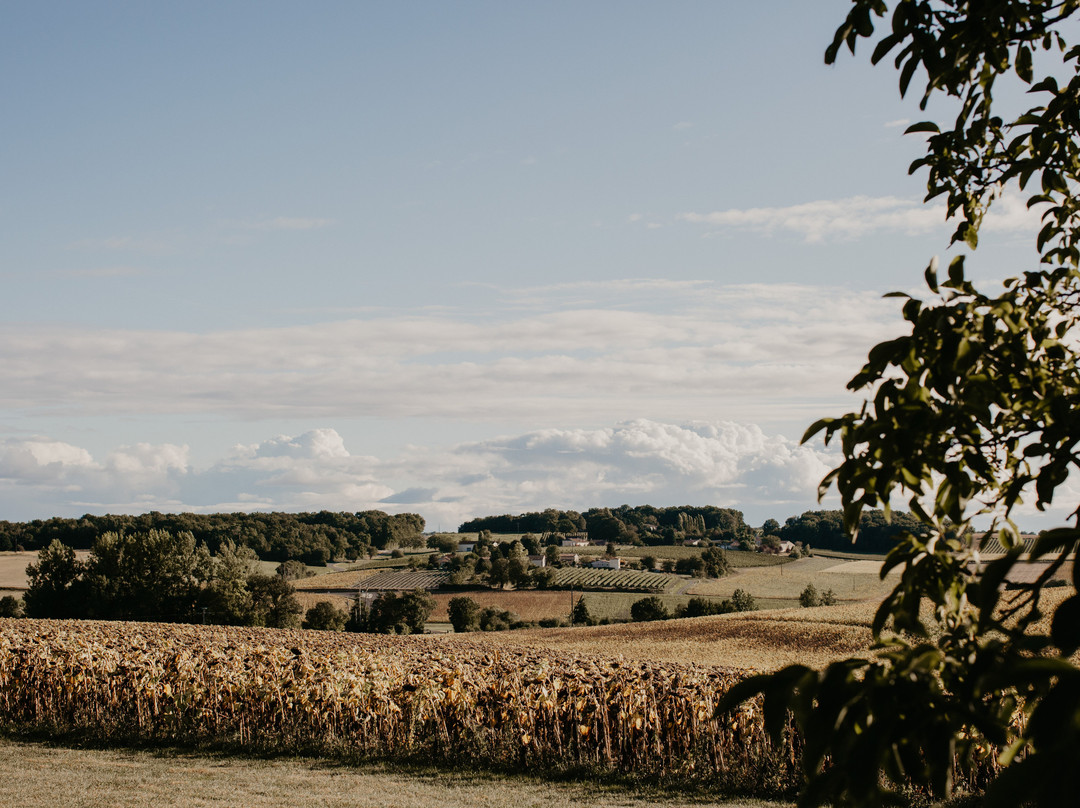 皮里戈城堡酒店主图