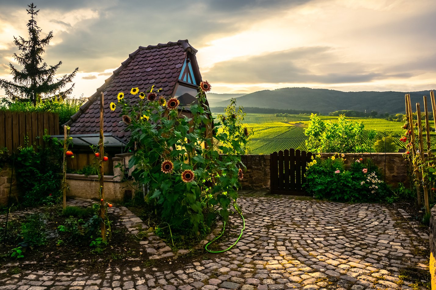 斯驰洛斯伯格酒店-酒店景观