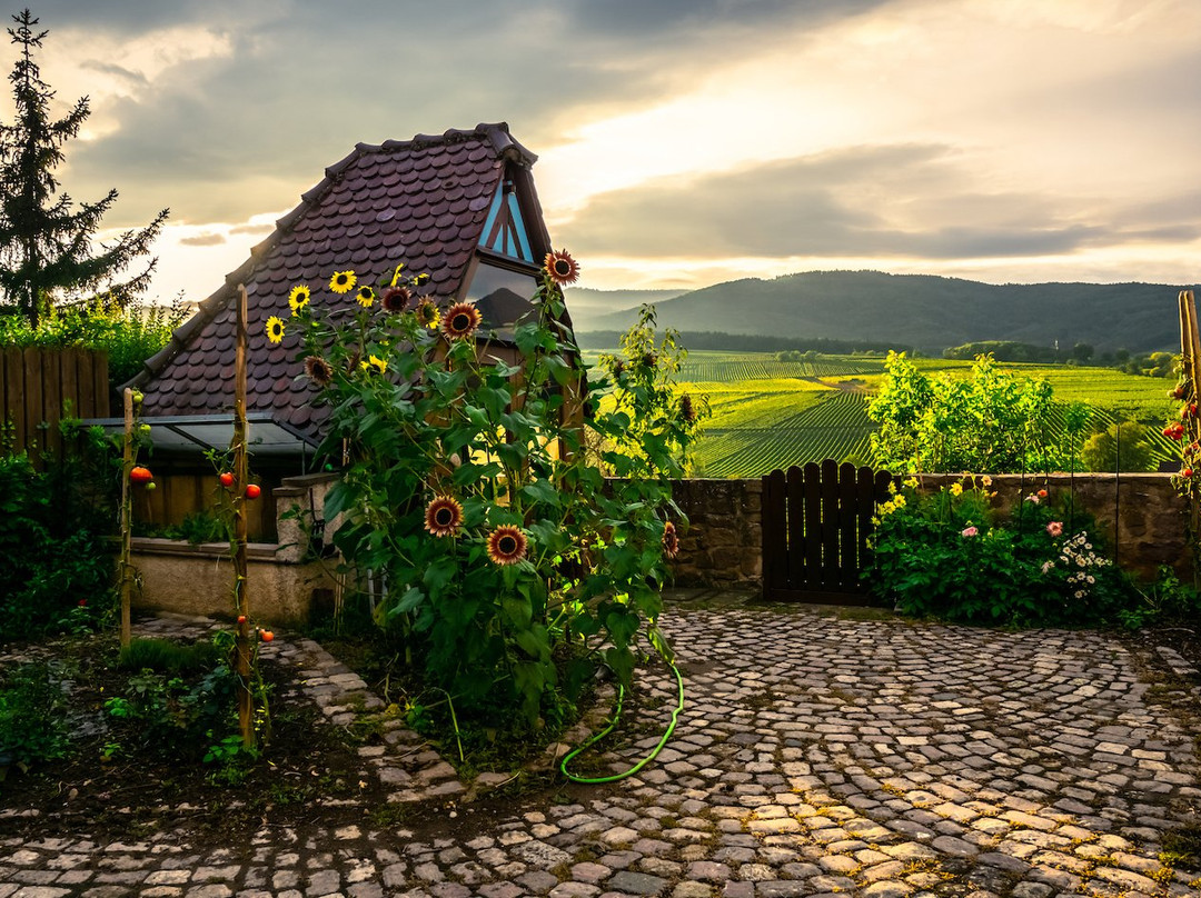 斯驰洛斯伯格酒店主图