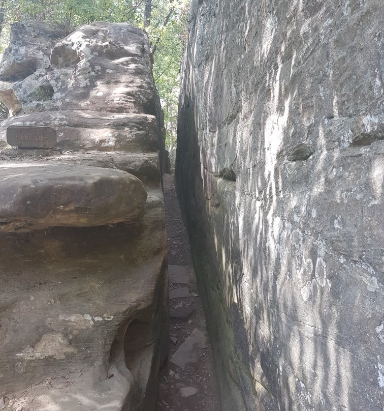 Daniel Boone National Forest-Winchester必去景点