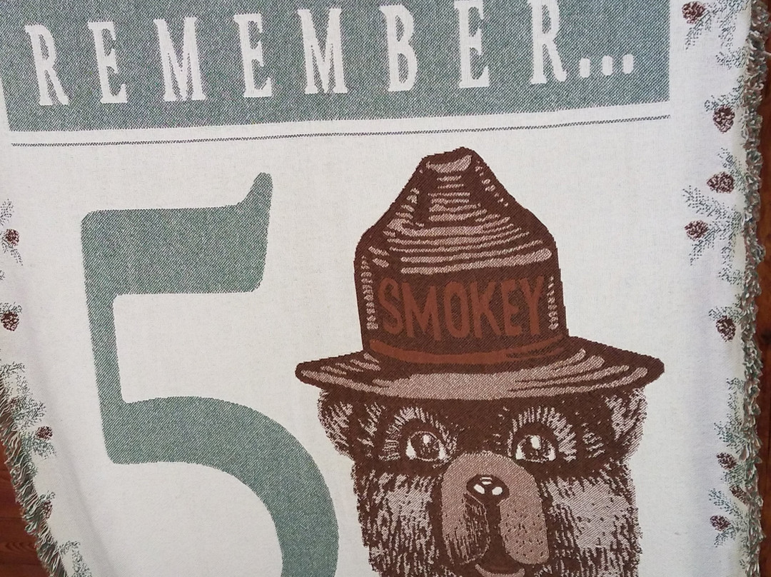 Smokey Bear Museum and Gift Shop-Capitan必去景点