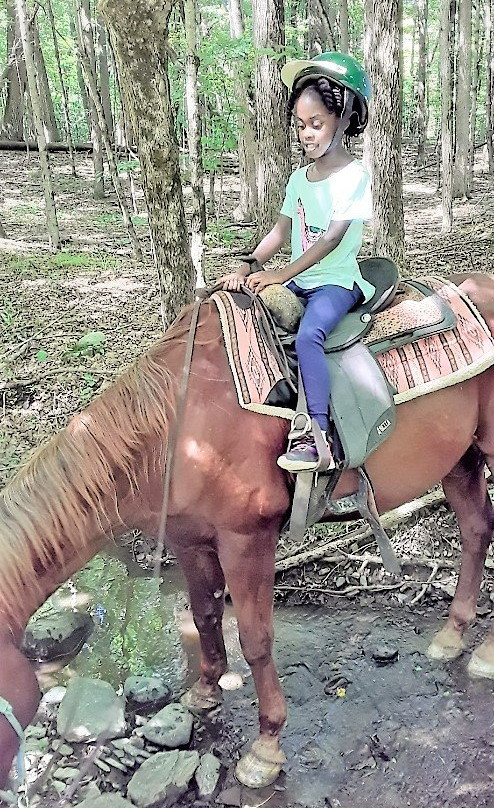 Rocke N Horse Farm景点图片