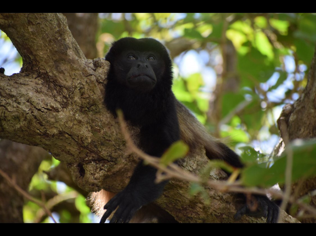 Blue Sky Private Tours-利比里亚必去景点