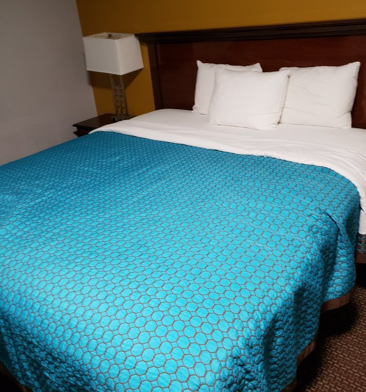 Americas Best Value Inn Hayward主图