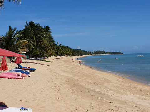 花田度假酒店主图