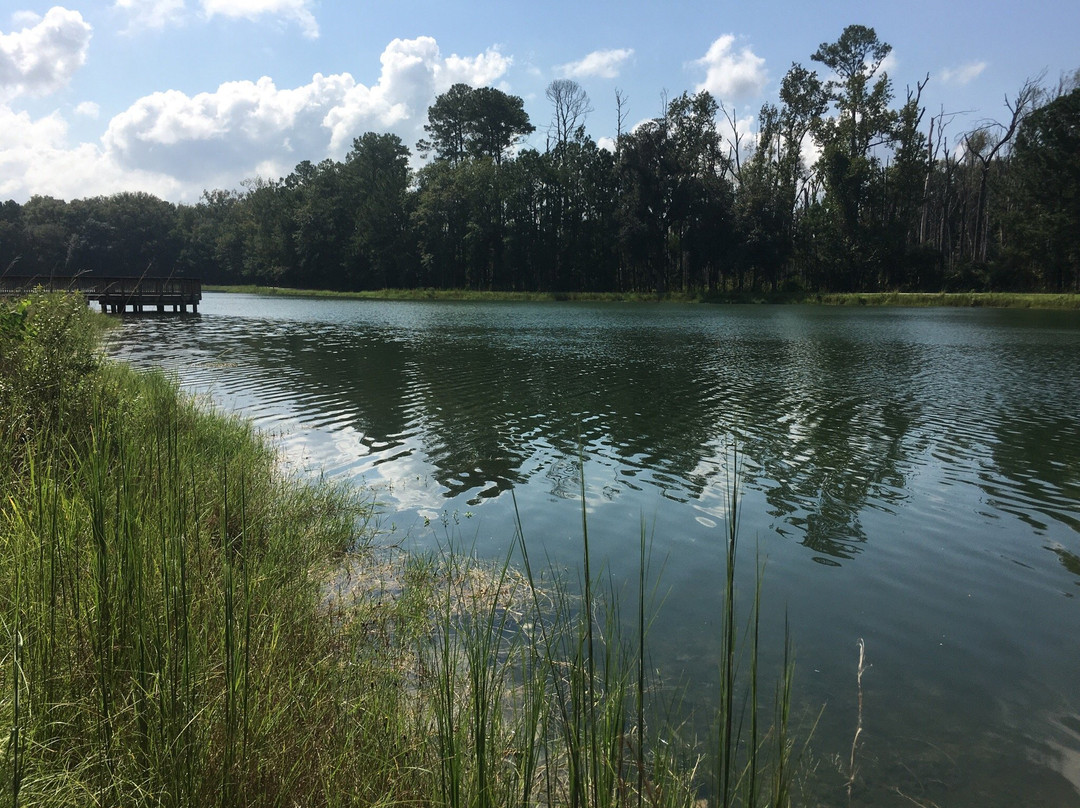 Tom Triplett Community Park-普勒必去景点