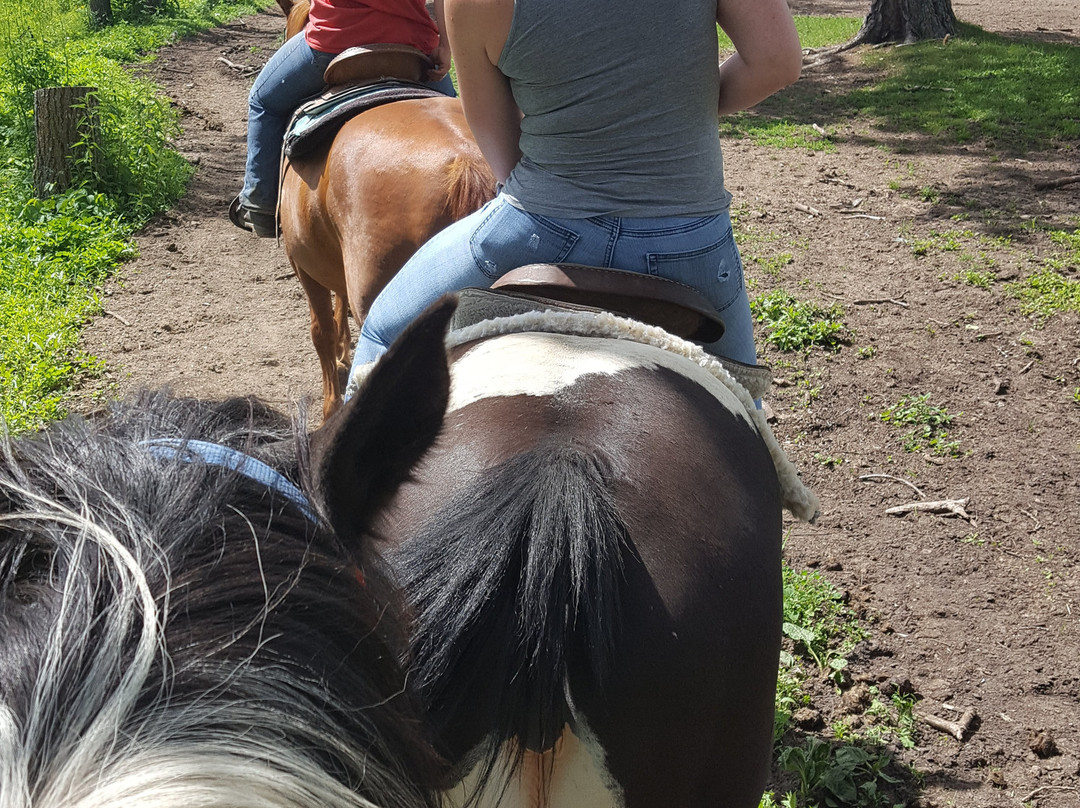 Pine River Riding Stable-Pine River必去景点