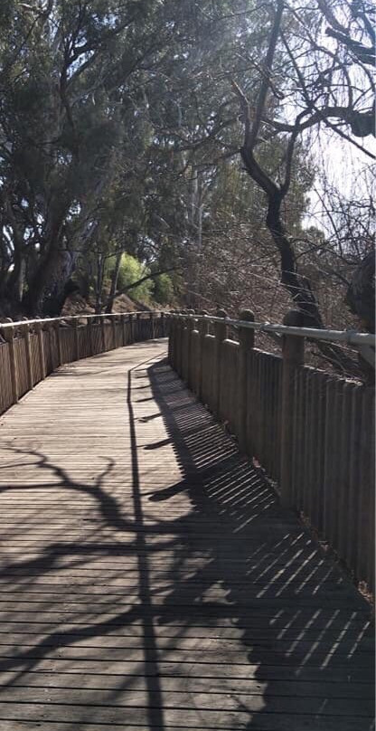 Beach to Beach Riverside Walk-Deniliquin必去景点