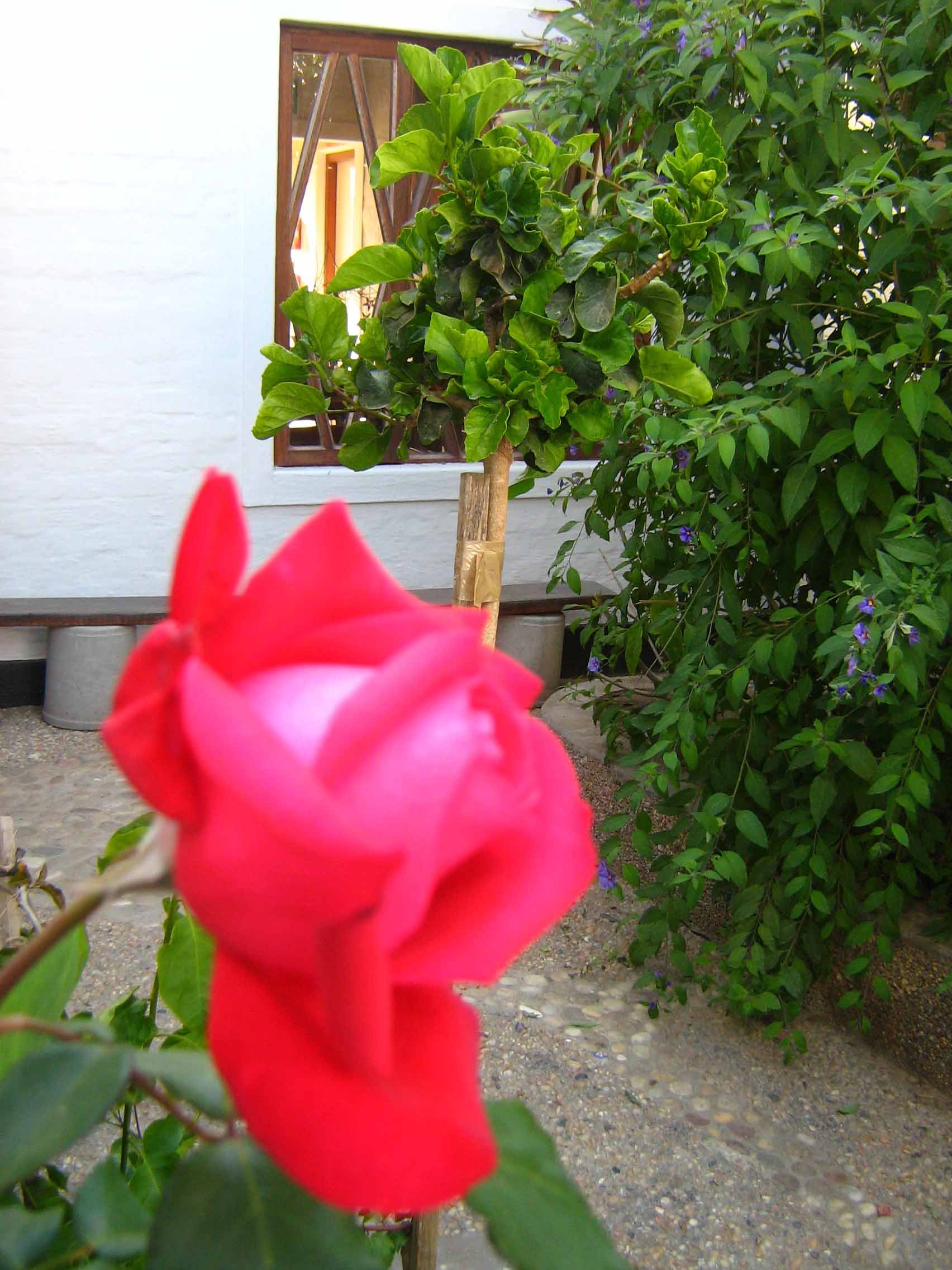 Alternative Space B & B-餐饮