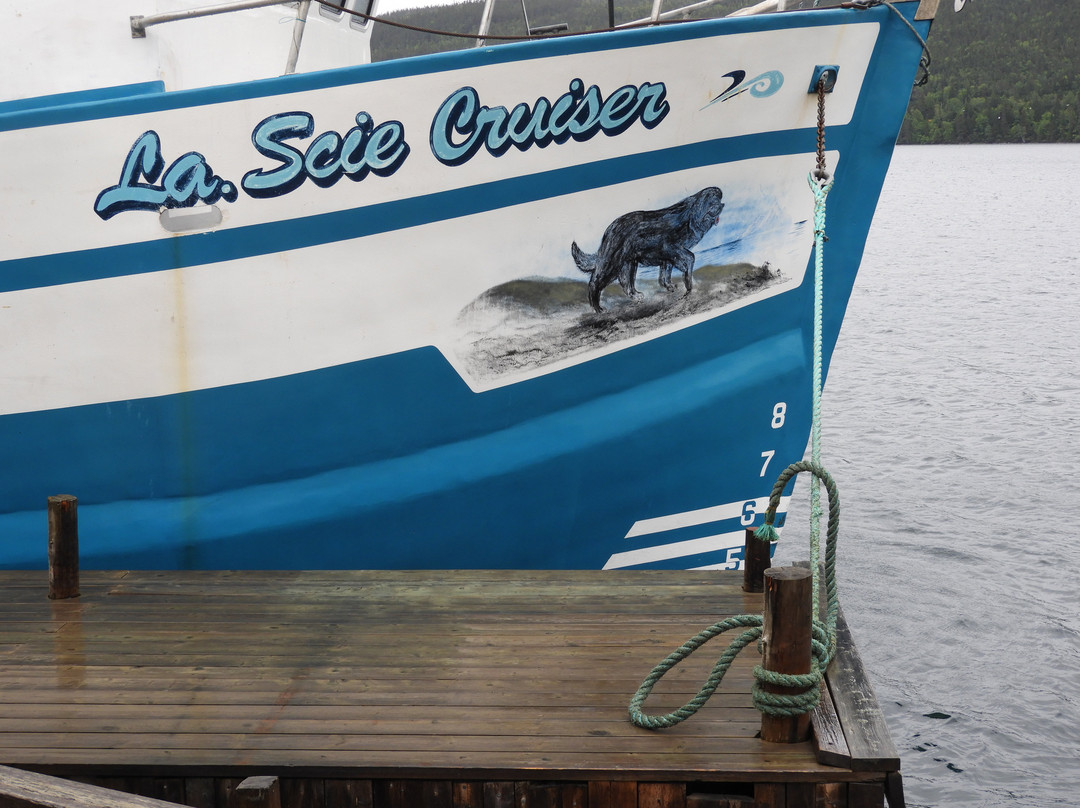 Town of Trout River-Trout River必去景点