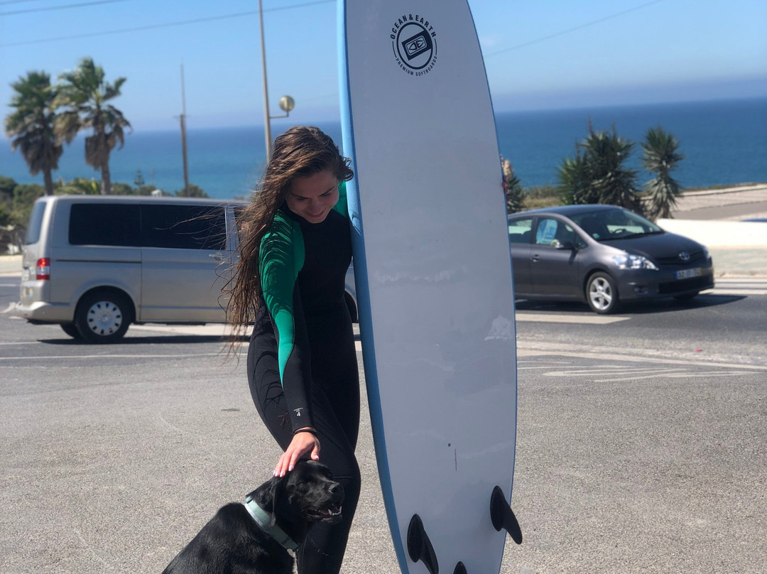 BoardCulture Surf Center景点图片