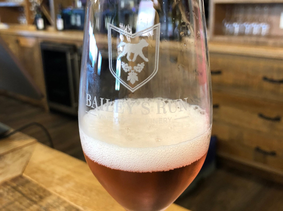 Bailey's Run Vineyard & Winery景点图片