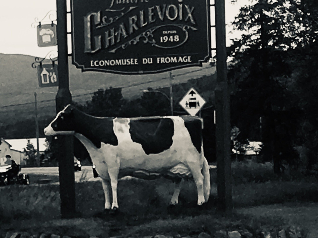 Économusé du Fromage-Baie-St-Paul必去景点